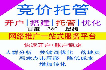 谷歌竞价案例：快速提升品牌影响力的广告策略